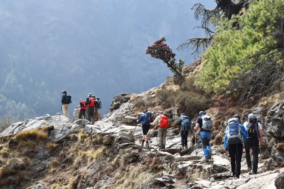 Travel-Kompany-Everest-Base-Camp-Trek-Gallery-Image9.jpg